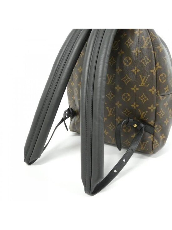 Louis Vuitton Monogram Palm Spring Backpack MM Sac main image 7